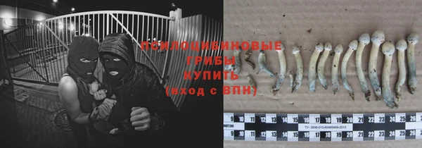 герыч Осташков