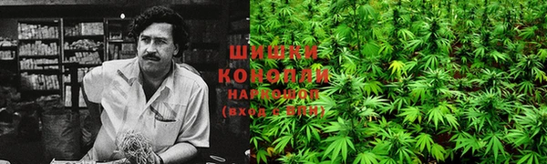 круглые Пересвет
