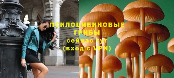 ПСИЛОЦИБИНОВЫЕ ГРИБЫ Переславль-Залесский