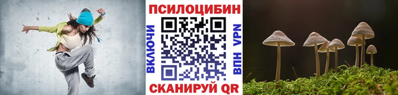что такое   Опочка  Псилоцибиновые грибы Cubensis 